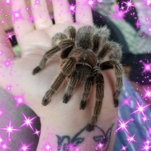 Meet your Posher, Marissa